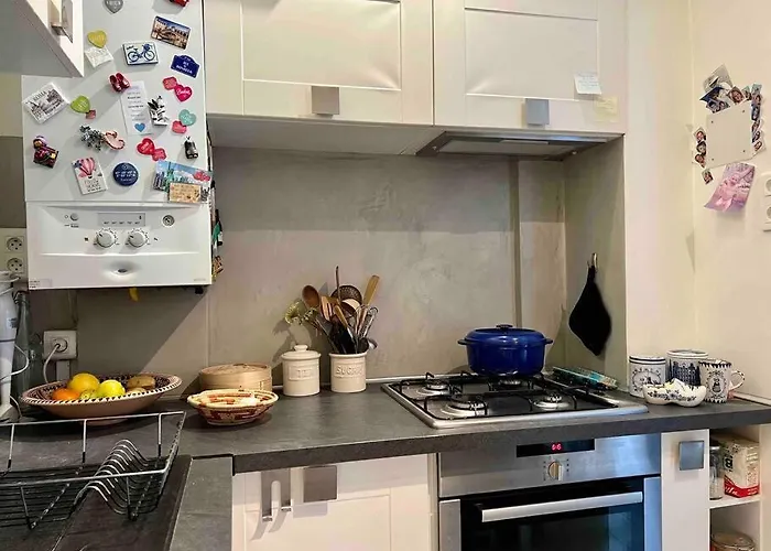 La Charmante Maison Aux Volets Bleu - *